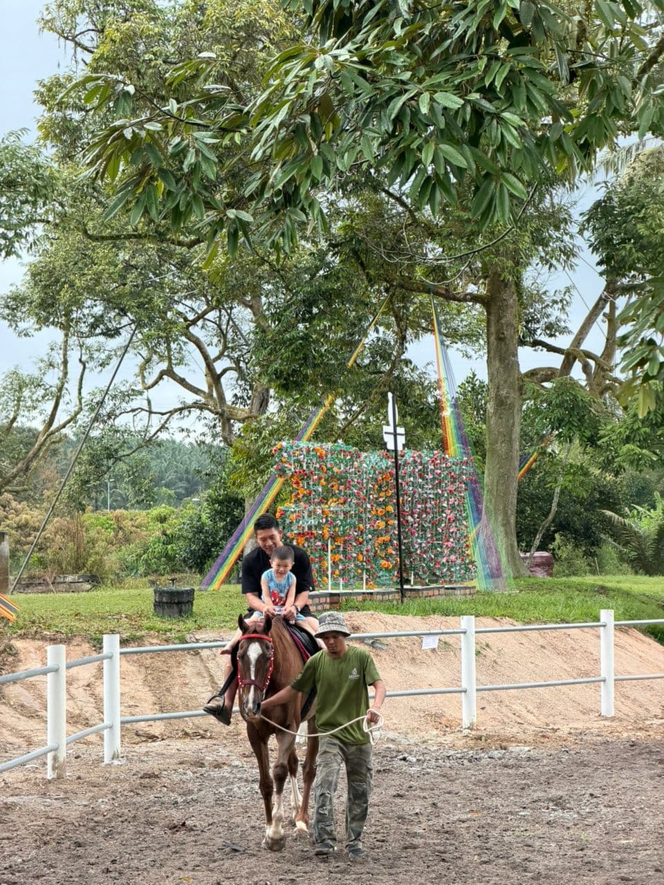 Desaru Fruit Farm Horse Riding Experience