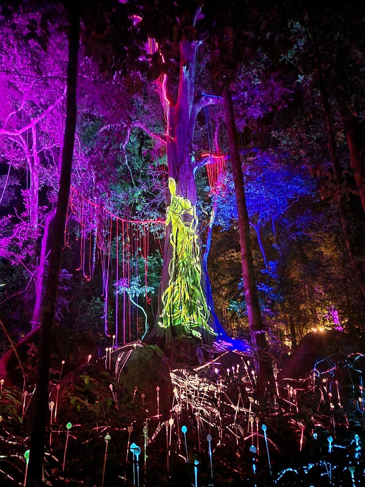 Dream Forest Langkawi