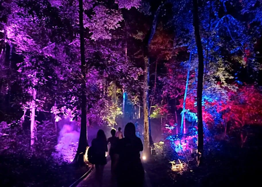 Dream Forest Langkawi