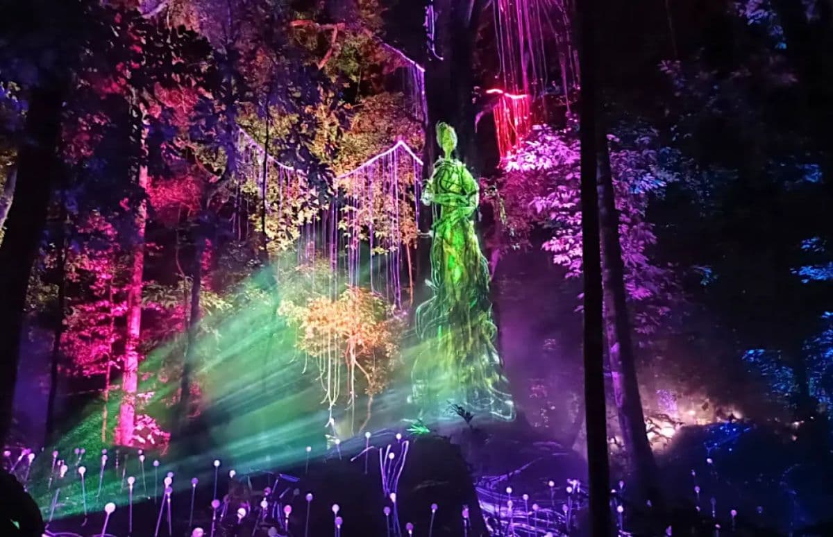 Dream Forest Langkawi