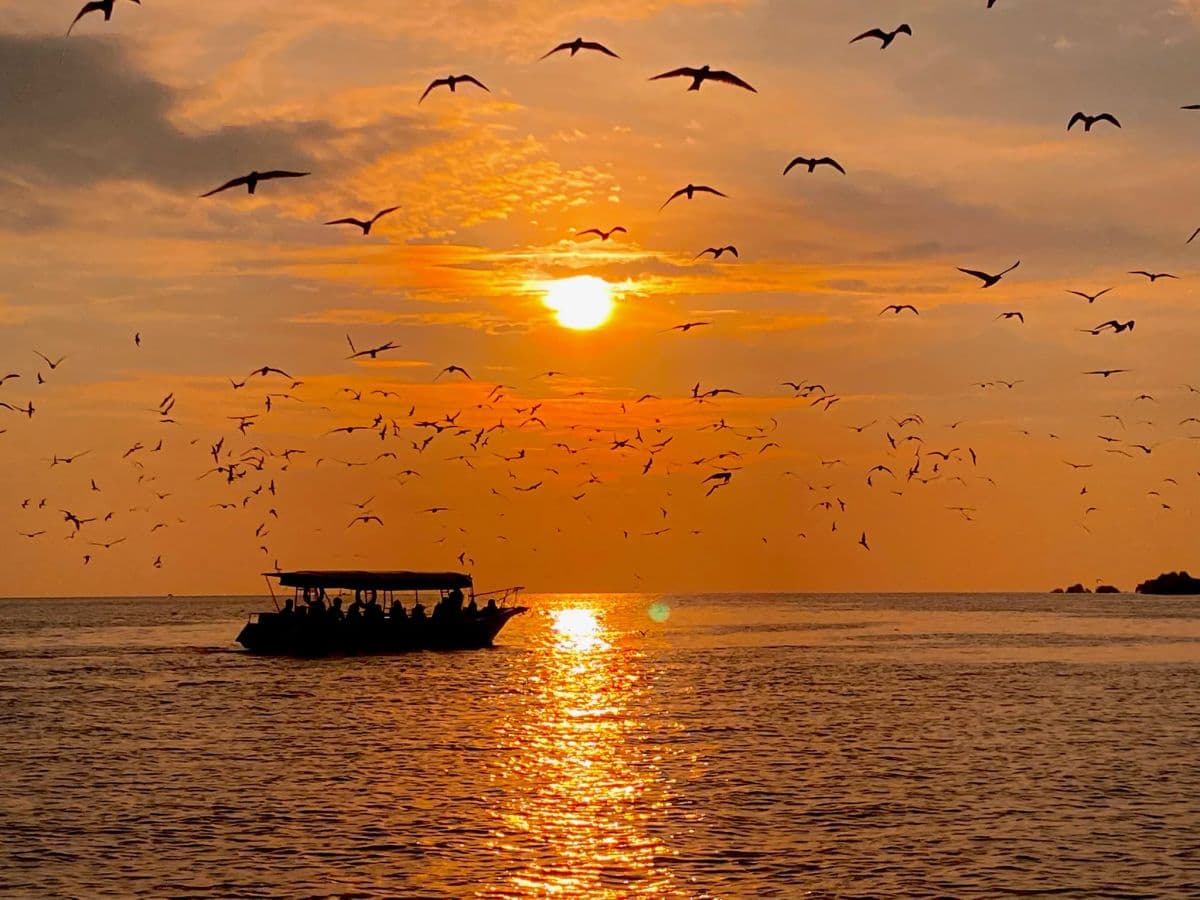 Eagle Watching Experience in Kuala Selangor