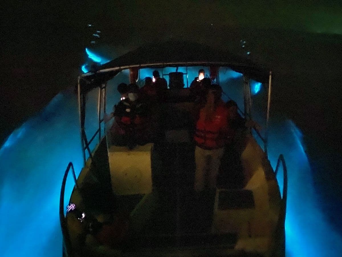 Eagle Watching, Fireflies, Blue Tears Experience in Kuala Selangor 