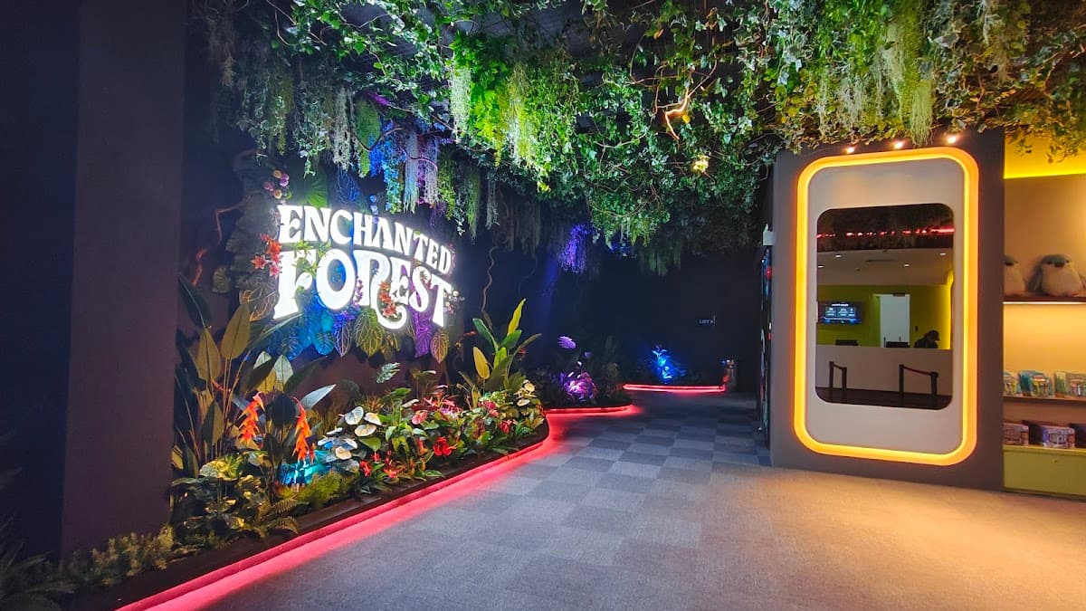 Enchanted Forest