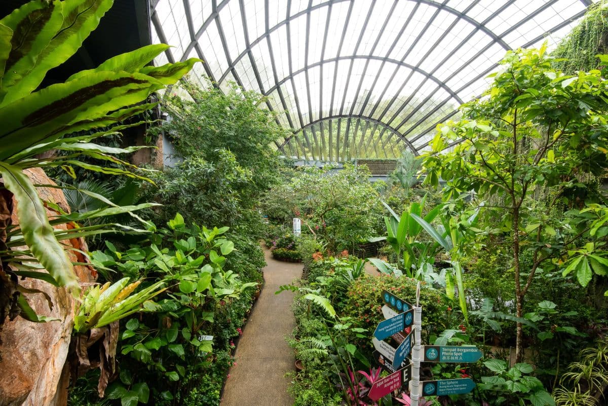 Entopia
