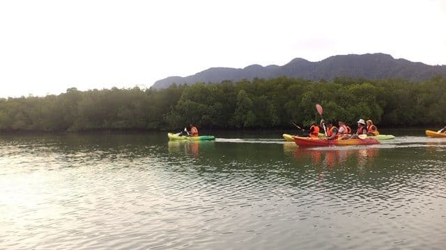JungleWalla Langkawi Kayaking Adventure & Swimming With Lunch