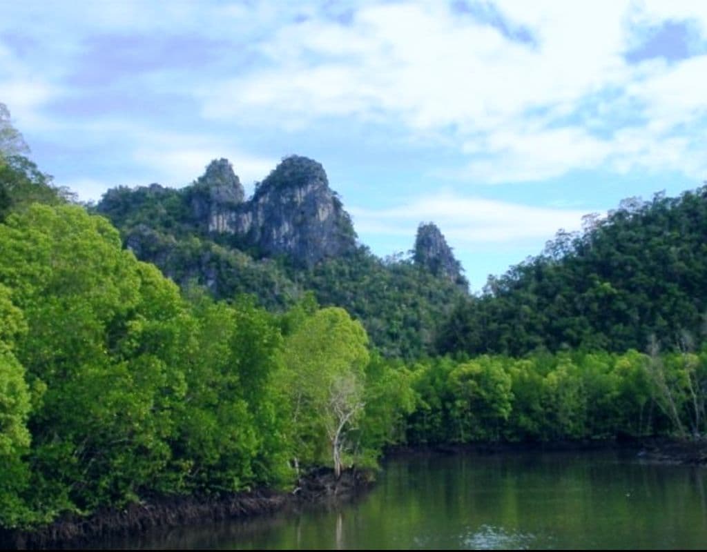 Cruzeiro pelos Manguezais do UNESCO Geopark de Langkawi com a JungleWalla - Opções Compartilhada e Privativa