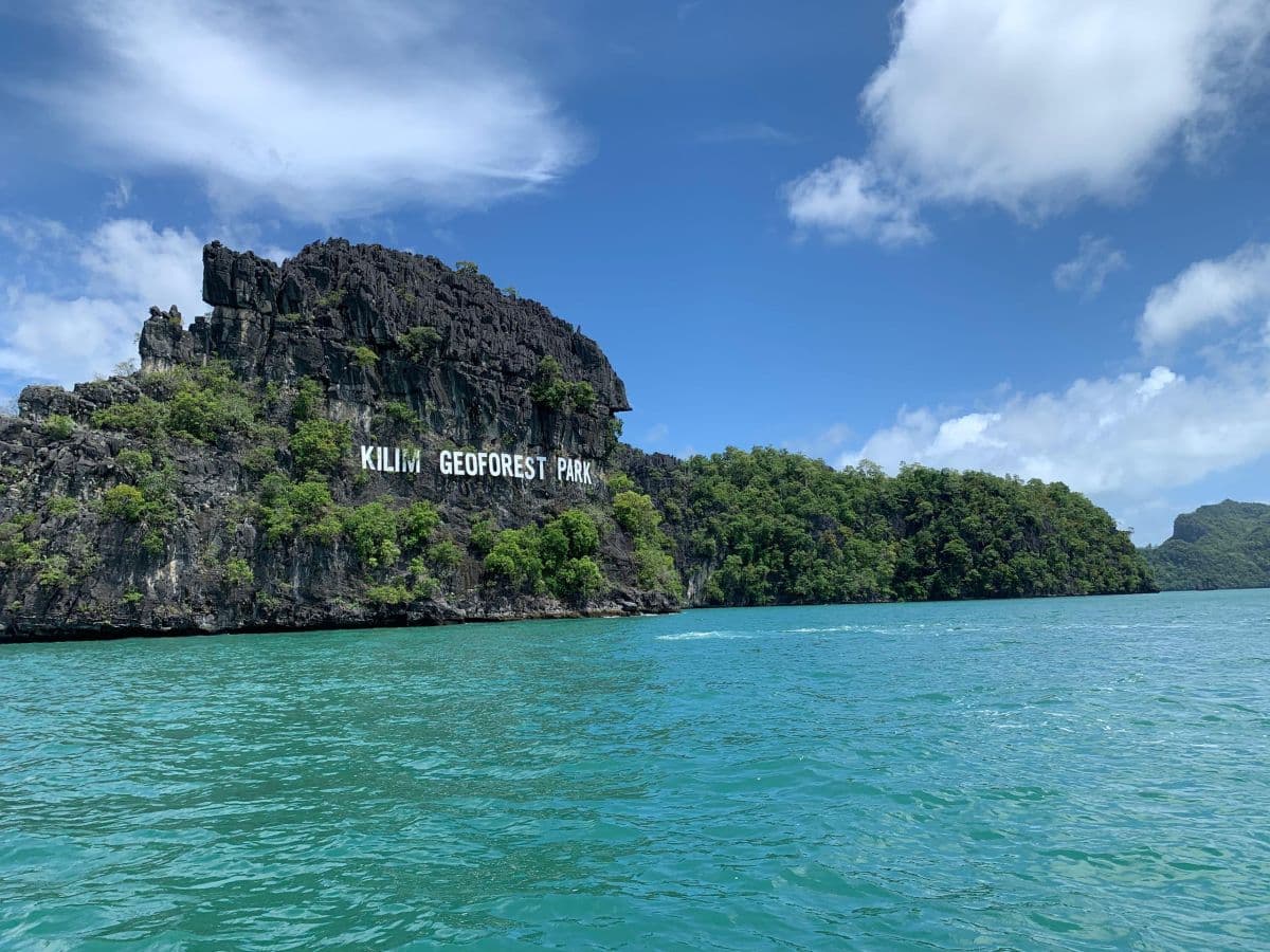 Rejs po namorzynach JungleWalla Langkawi Unesco Geopark – opcja wspólna i prywatna