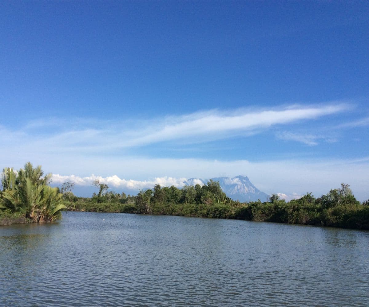 Kawa Kawa Fireflies Sunset Cruise