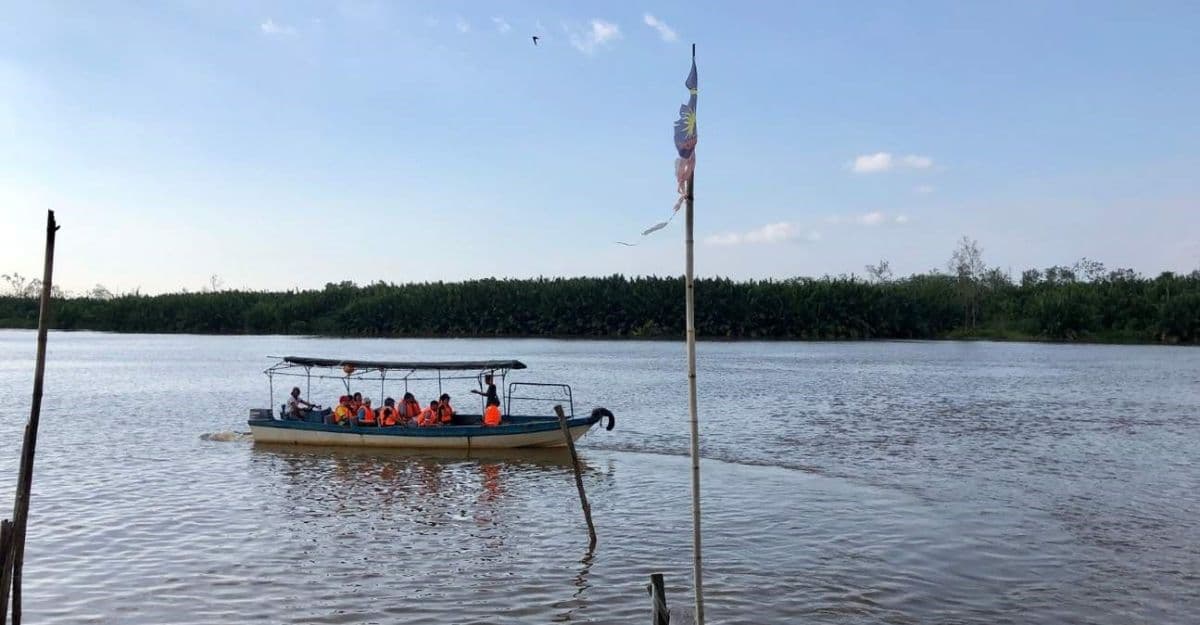 Klias River Proboscis Monkey & Fireflies Cruise (Fully Guided Tour)