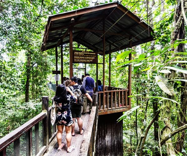 Tagesausflug zum Kota Kinabalu Park und zu den heißen Quellen