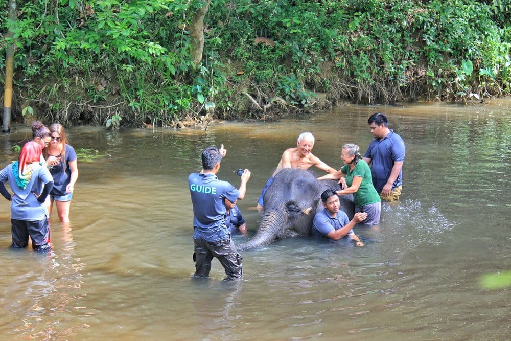 Kuala Gandah Elephant Sanctuary Tour - (SIC - Join In Tour)