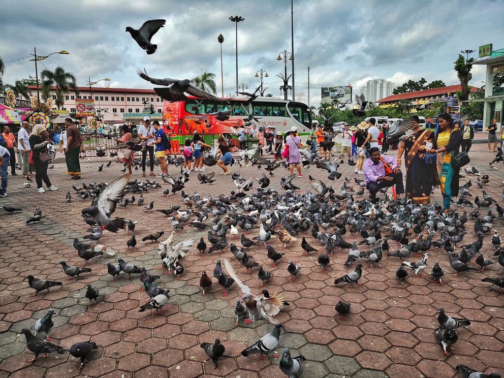 Excursão de Meio Dia aos Arredores de Kuala Lumpur e Batu Caves