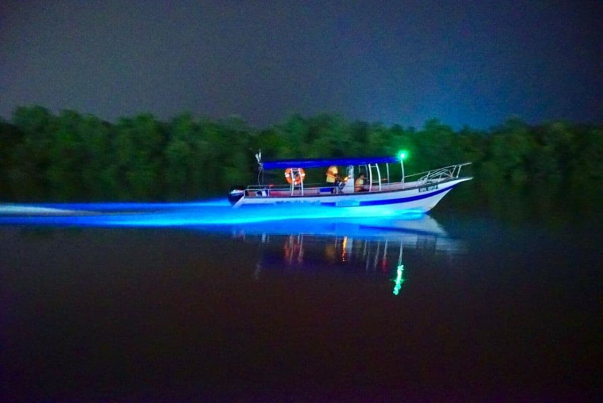 Kuala Selangor Glühwürmchen- und Blue Tears-Tour mit Abendessen (geführte Tour)