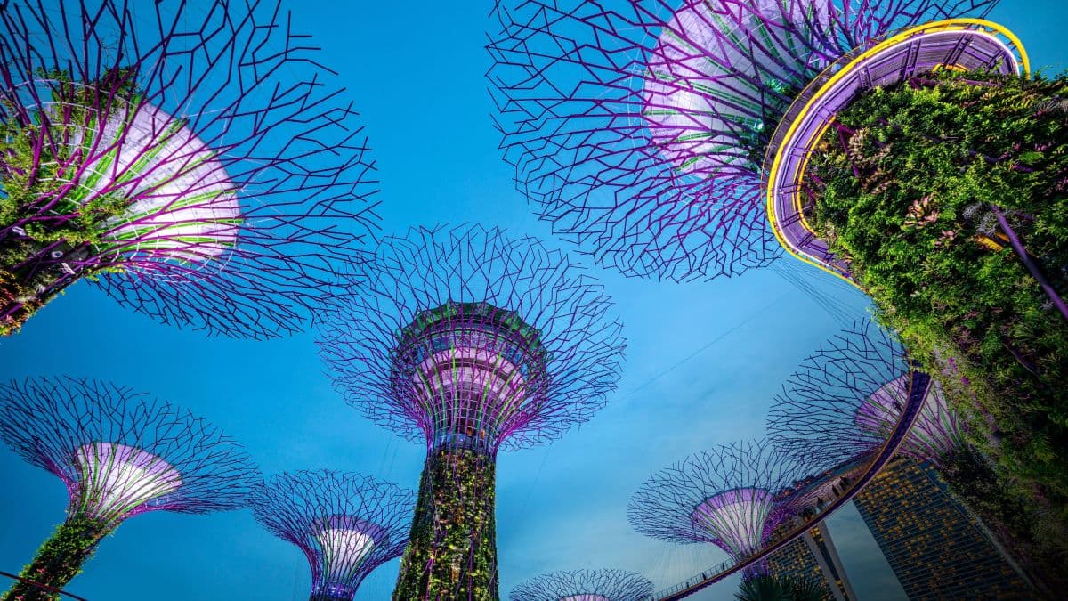 Singapore Marina Bay Night Walk with Spectra & Garden Rhapsody Shows