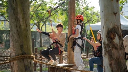 Mea Me Shang Shu Cute Pet Paradise