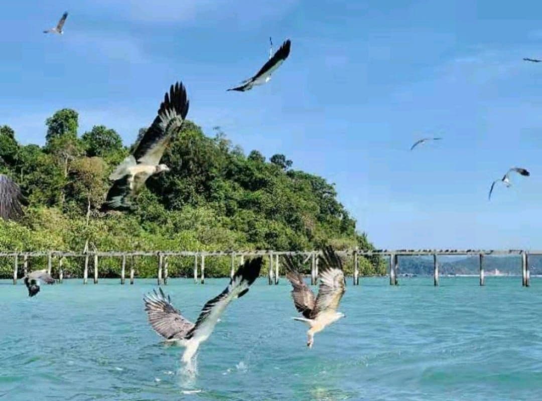 Langkawi Island Hopping 5 in 1 Grand Tour