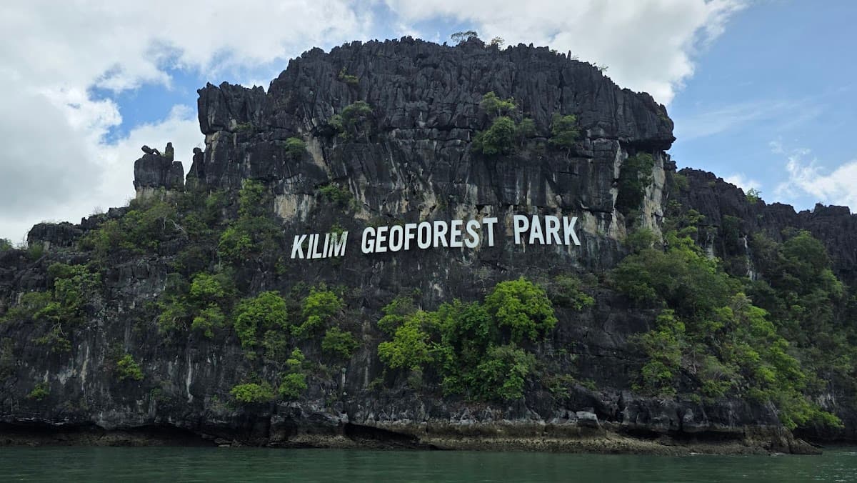 Langkawi Mangrove Tours Package