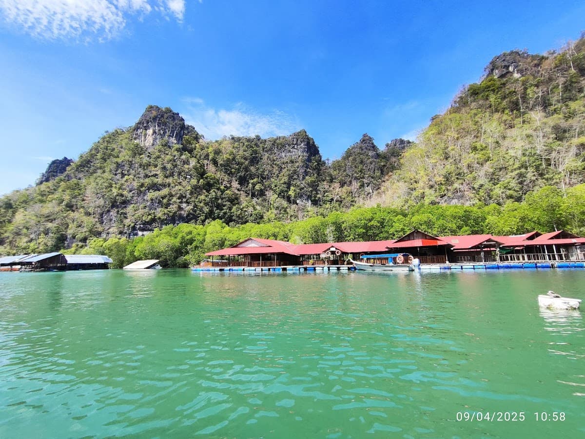 Langkawi Mangrove Tours Package