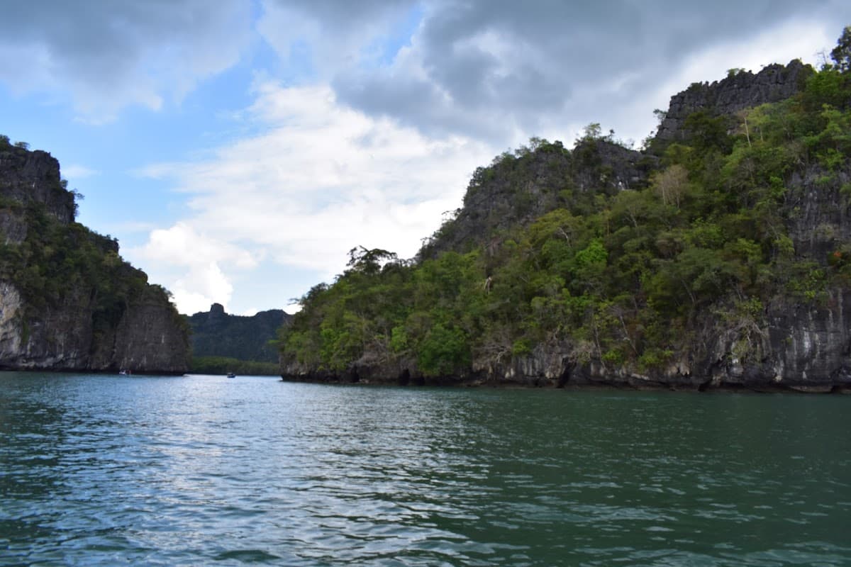 Langkawi Tanjung Rhu Mangrove Speedboat Tour