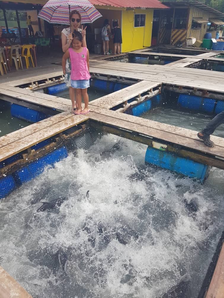 Langkawi Tanjung Rhu Mangrove Speedboat Tour