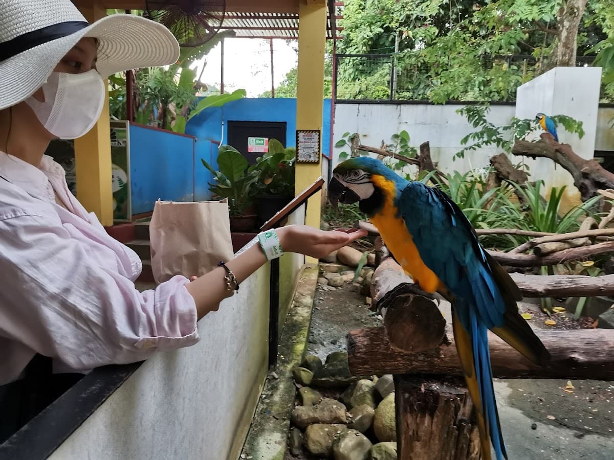 Langkawi WildLife Park