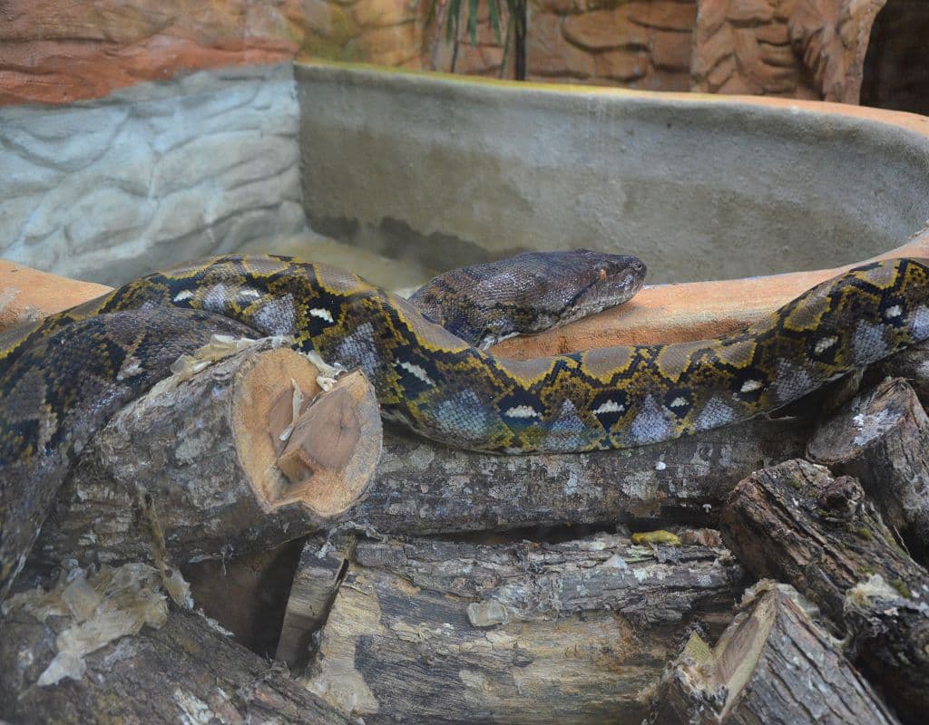 Langkawi WildLife Park