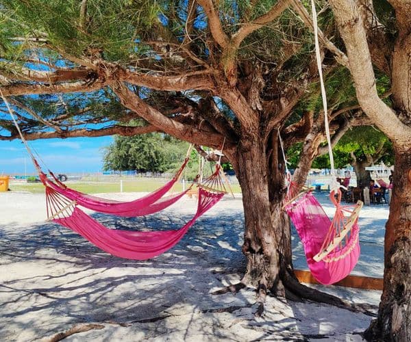 Mantanani Island Snorkeling Day Trip / Manta Combo Trip