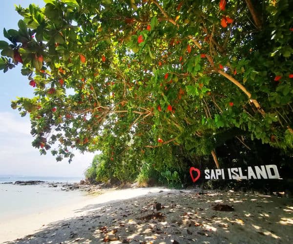 Manukan and Sapi Islands Excursion