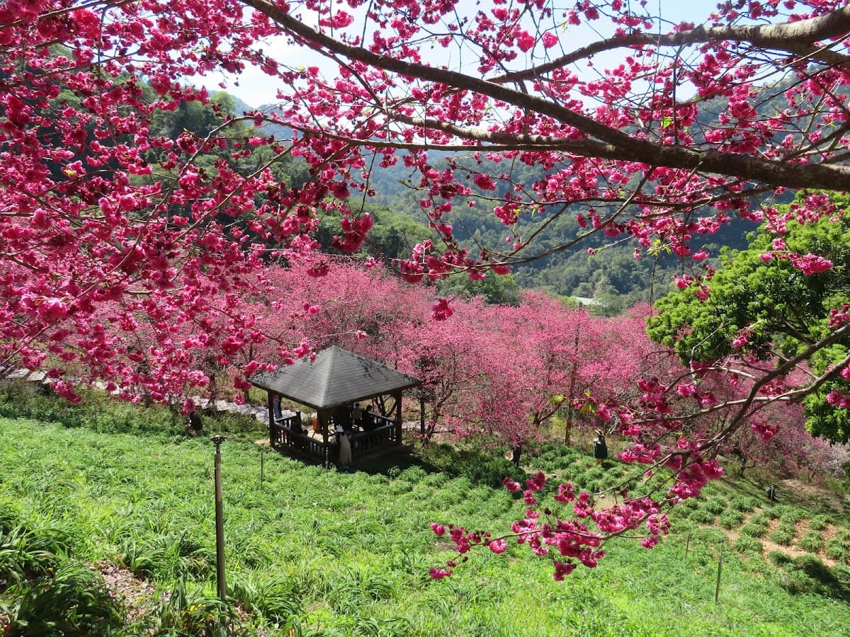 Muxinquan Leisure Farm