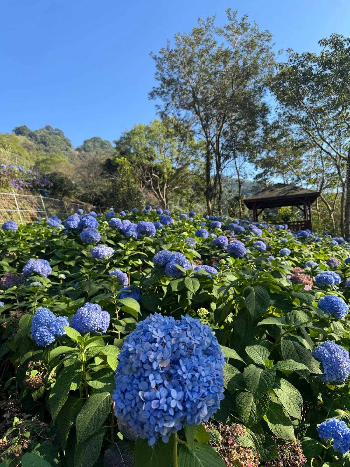 Muxinquan Leisure Farm