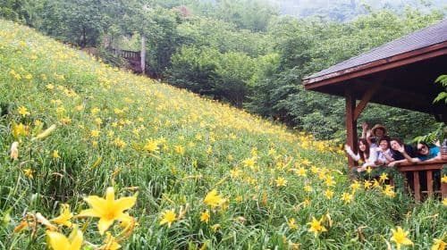 Muxinquan Leisure Farm