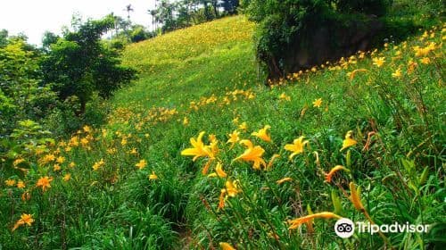 Muxinquan Leisure Farm