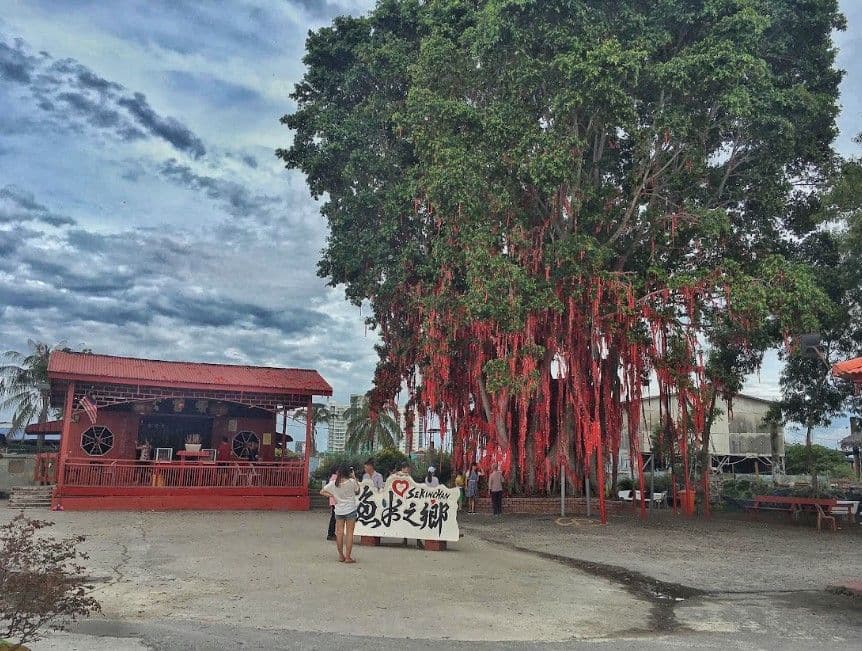 Paddy field , Fishing Village Sekinchan (SIC - Join In Tour)