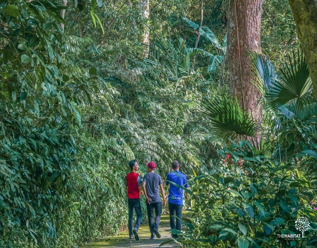 Penang Habitat