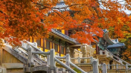 Gyeongju UNESCO-Weltkulturerbe + Sky Capsule Tagestour (ab Busan) Tagestouren