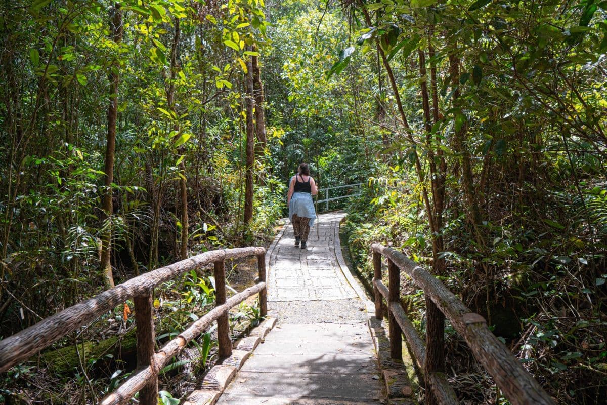 Sabah 1 Day/2 Days/3 Days Outskirt Private Charter Service