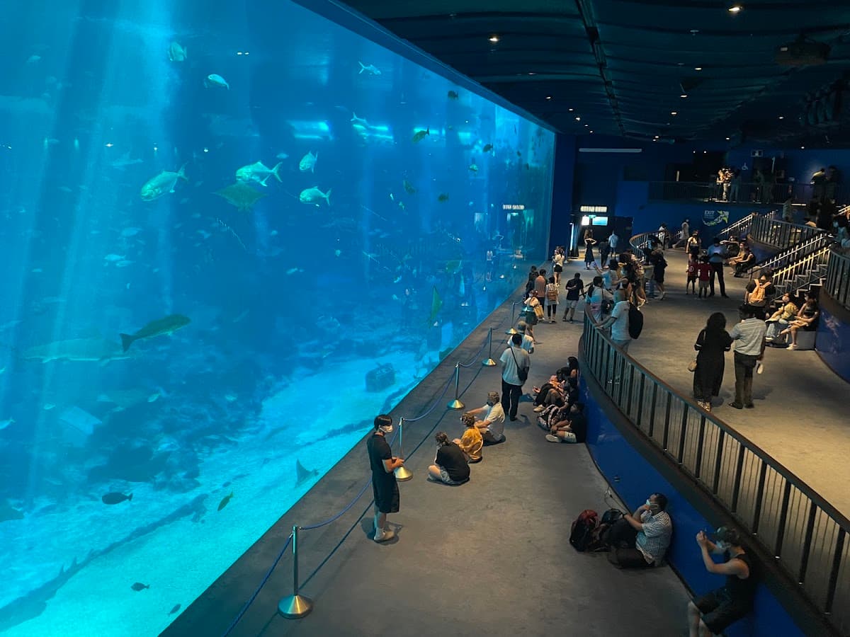 Singapore Oceanarium Experience