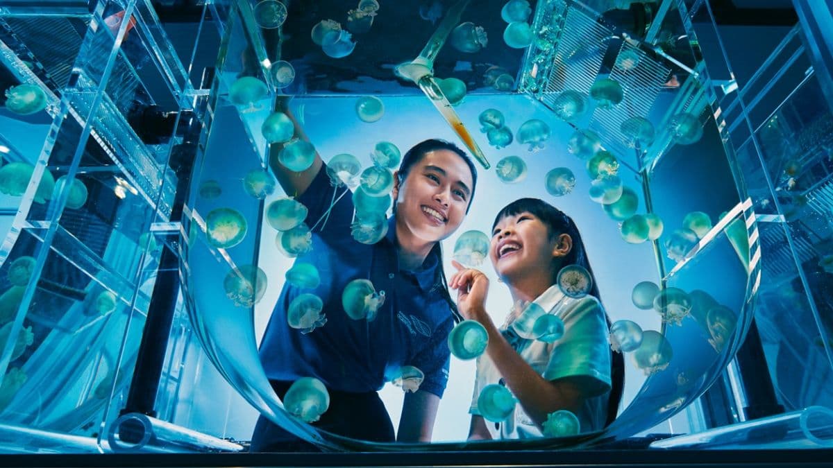 Singapore Oceanarium Experience