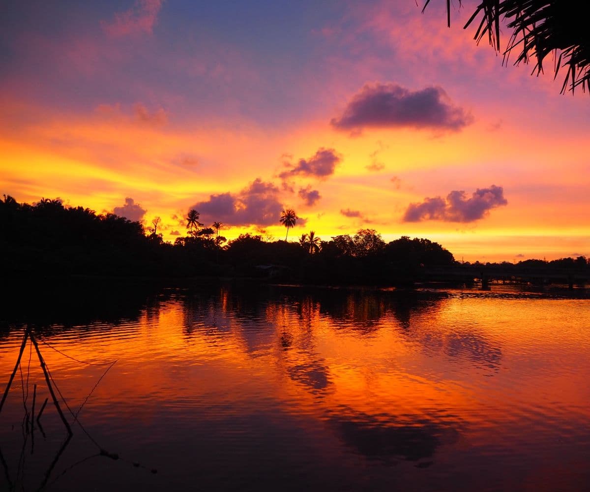 Sabah: Binsuluk River Cruise with Firefly Watching
