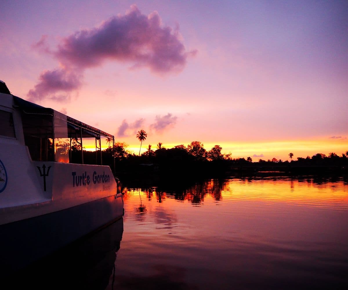 Sabah: Binsuluk River Cruise with Firefly Watching