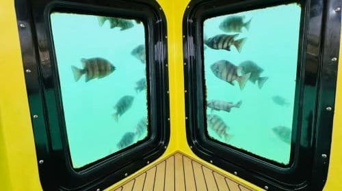 International Leaders Club