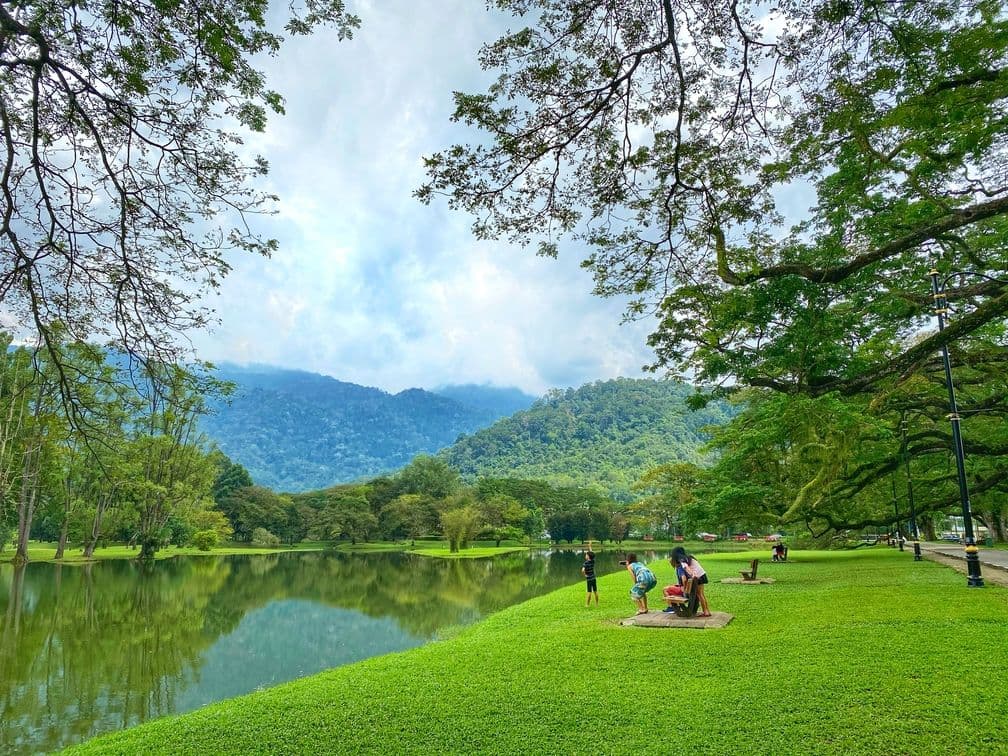 Taiping Eco & Heritage Day Tour from Kuala Lumpur (Private Tour)