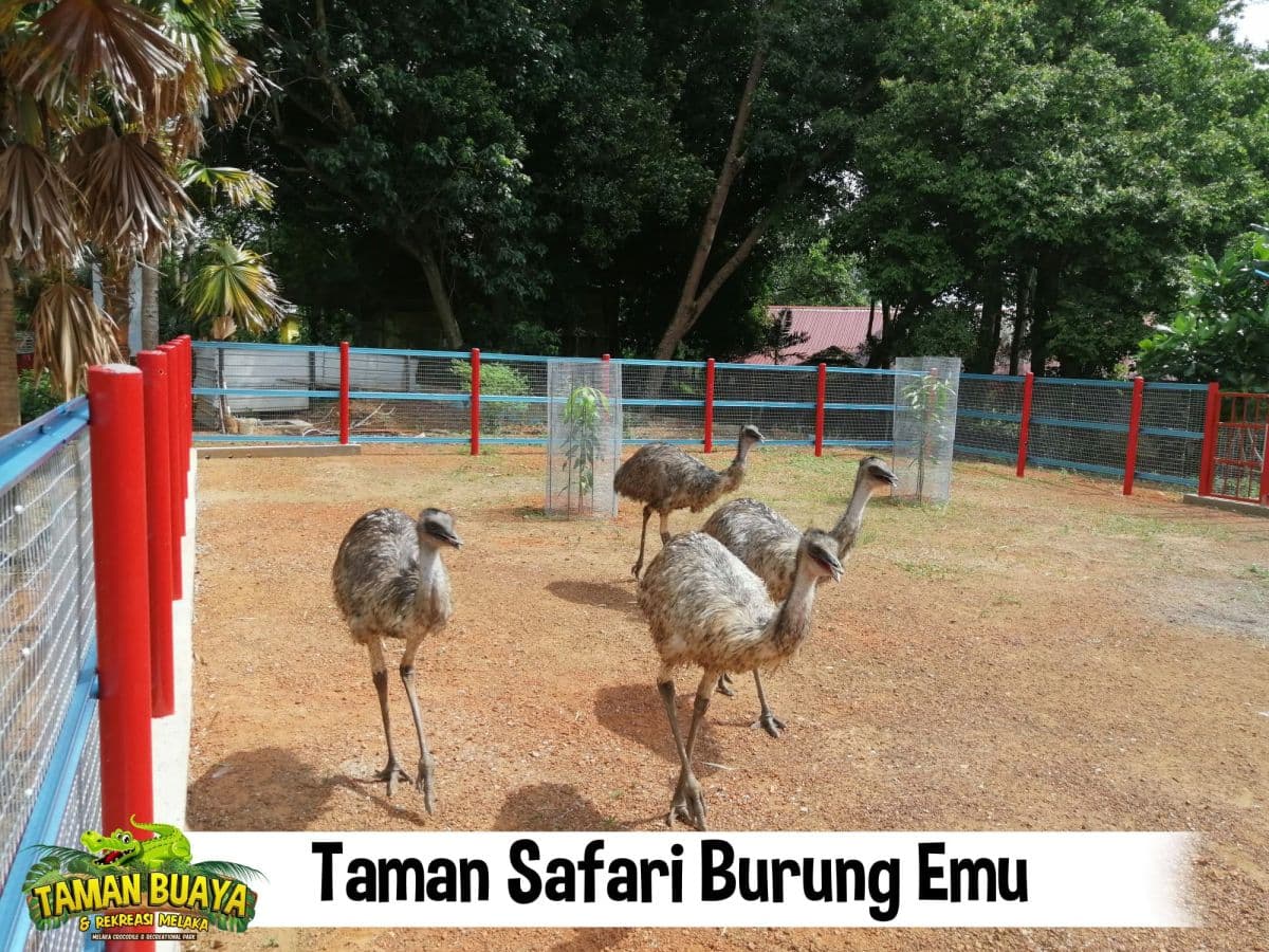 Taman Buaya & Rekreasi Melaka