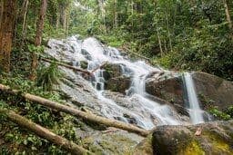 Templer's Park Half Day Tour  (SIC - Join In Tour)