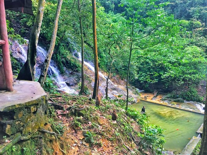 Templer's Park Half Day Tour  (SIC - Join In Tour)