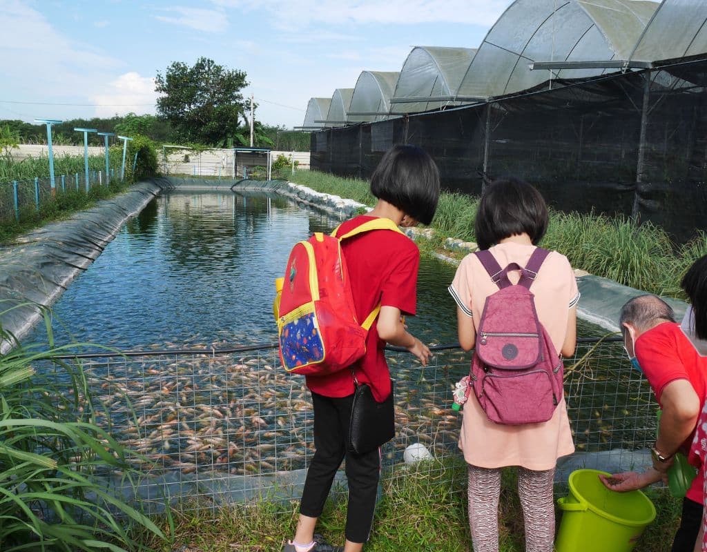 The Vanilla Village by Kairos