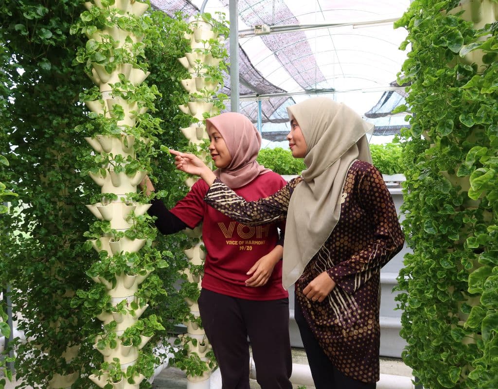 The Vanilla Village by Kairos