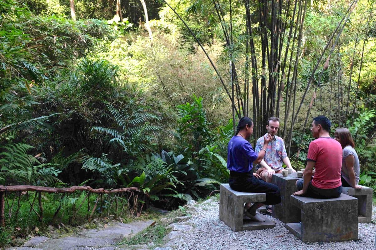 Biglietti d'ingresso e tour guidati al Tropical Spice Garden