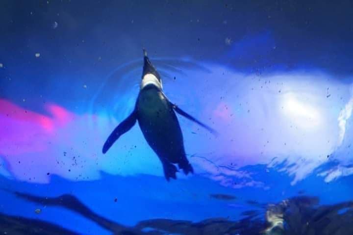 Underwater World Langkawi