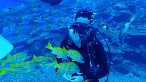 Taitung Orchid Island Experience diving Scuba diving 2 hours [No license required | Orchid Island Experience diving Tour | Including professional instructors, equipment, Insurance, underwater photos]